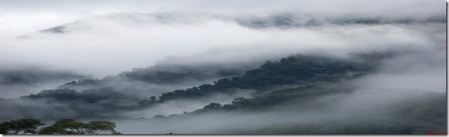 Paisaje-exotico-niebla-fondos-de-pantalla